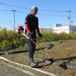 便利屋サンキュー仙台本店の得意分野は草刈り代行